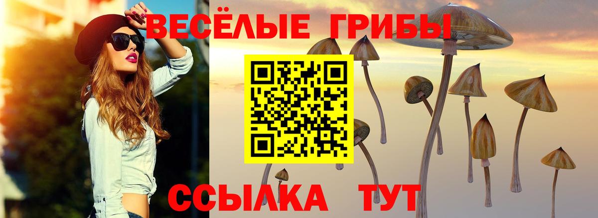 Галлюциногенные грибы Magic Shrooms Щёлково