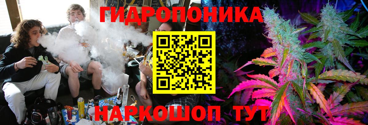 Бошки марихуана VHQ  Вход с VPN  Щёлково  Шишки марихуана White Widow  МАРИХУАНА MAZAR 